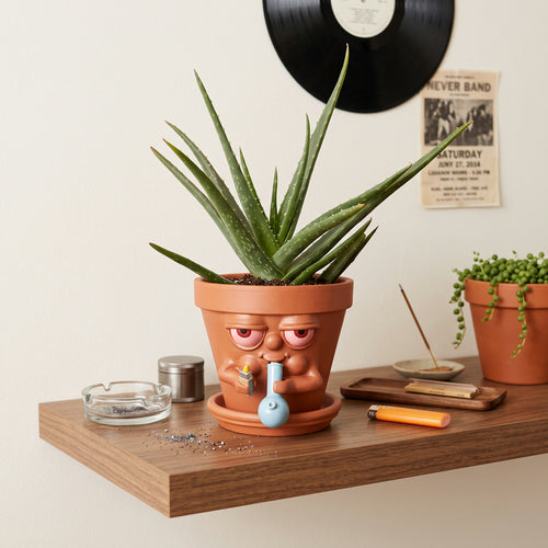Blazed Plant Pot