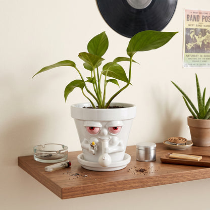 Blazed Plant Pot